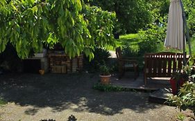 Appartement avec jardin à Colmar